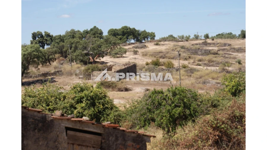 Quinta T6 para Venda em Escalos de Baixo e Mata Foto 89