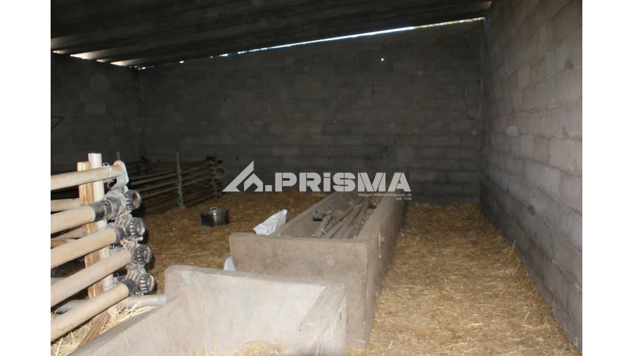 Quinta T6 para Venda em Escalos de Baixo e Mata Foto 37