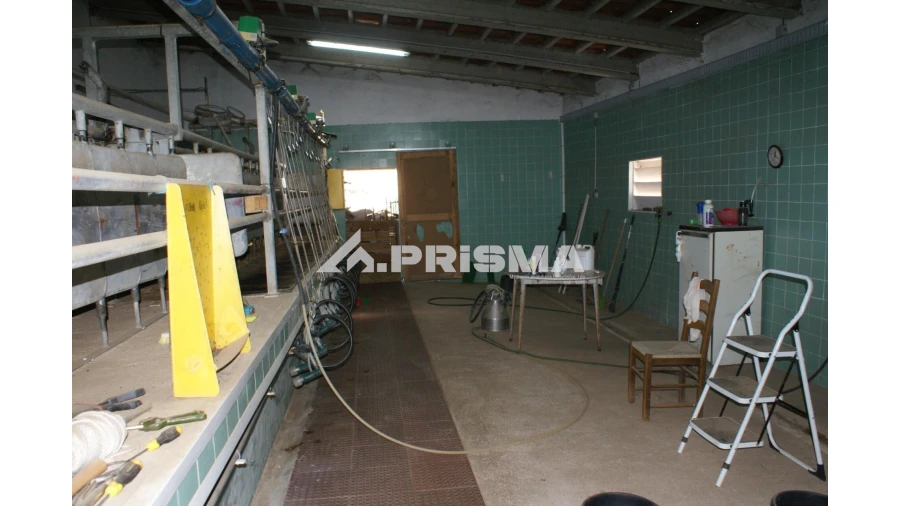 Quinta T6 para Venda em Escalos de Baixo e Mata Foto 31