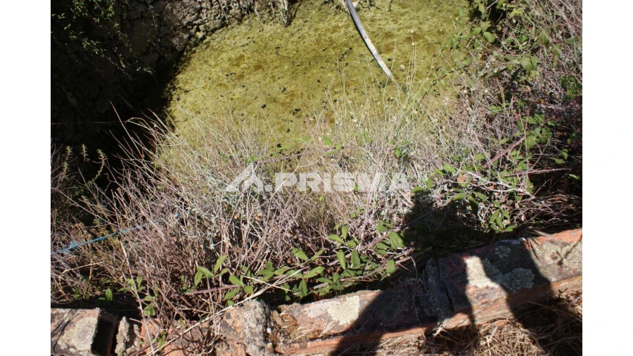 Quinta T6 para Venda em Escalos de Baixo e Mata Foto 73