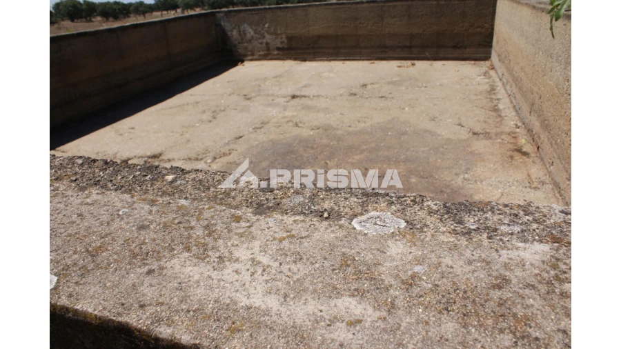 Quinta T6 para Venda em Escalos de Baixo e Mata Foto 55