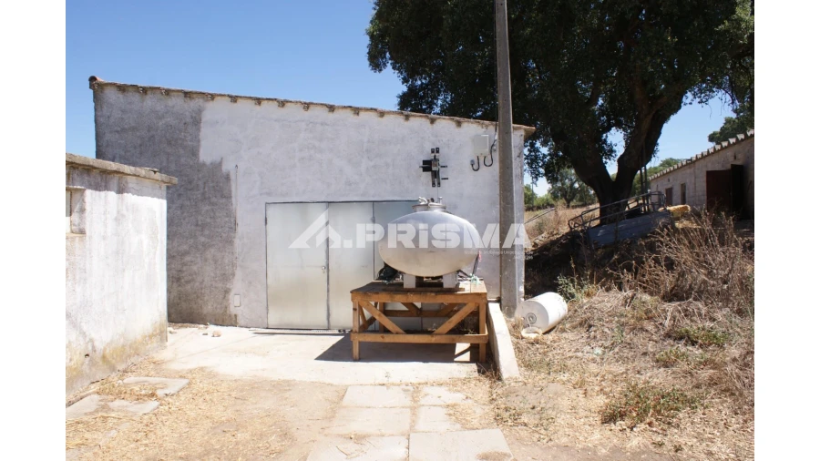Quinta T6 para Venda em Escalos de Baixo e Mata Foto 48