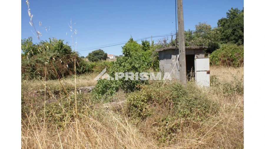 Quinta T6 para Venda em Escalos de Baixo e Mata Foto 67