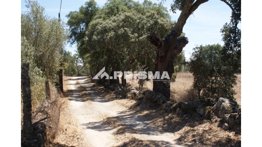Quinta T6 para Venda em Escalos de Baixo e Mata Foto 91