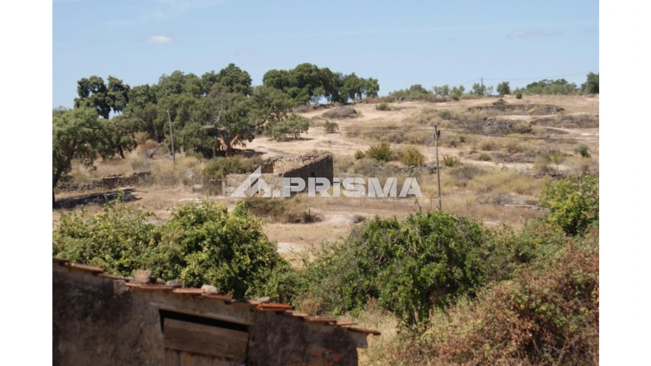 Quinta T6 para Venda em Escalos de Baixo e Mata Foto 89