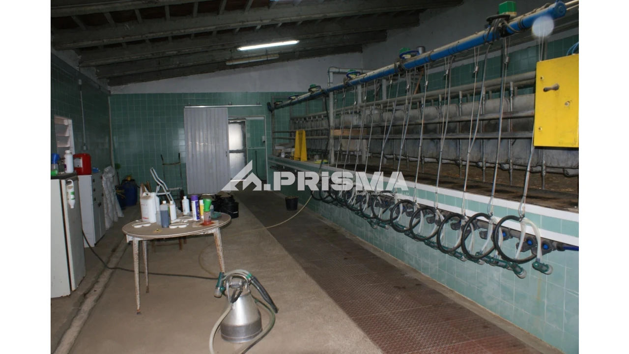 Quinta T6 para Venda em Escalos de Baixo e Mata Foto 28