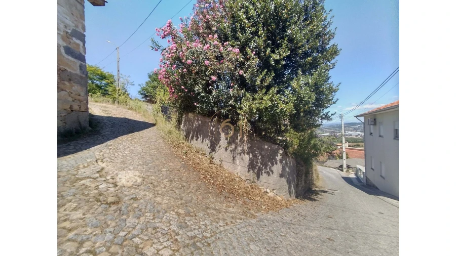 Quinta T5 para Venda em Roriz Foto 60