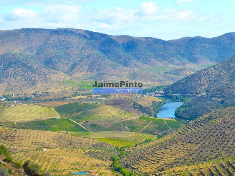 Terreno Agricola ou Rústico para Venda em Escalhão Foto 1