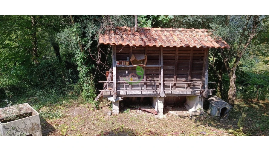 Moradia T3 para Venda em Valdreu Foto 6