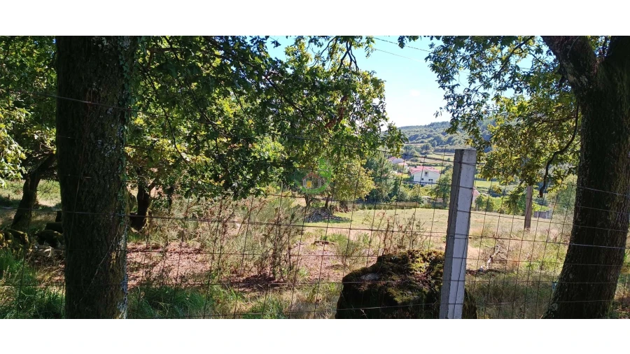 Terreno para Venda em Boalhosa