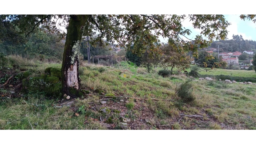 Terreno para Venda em Boalhosa Foto 14
