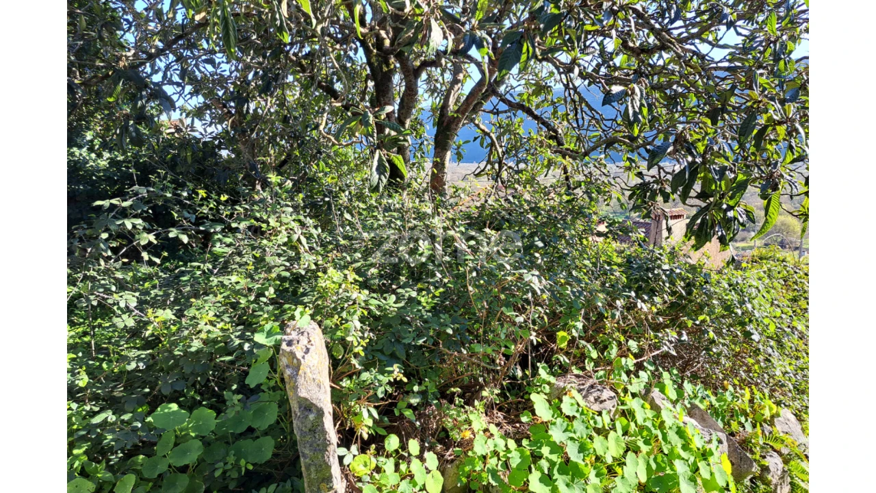 Terreno para Venda em Mira de Aire Foto 4