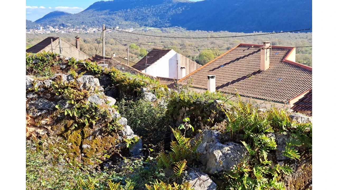 Terreno para Venda em Mira de Aire Foto 5