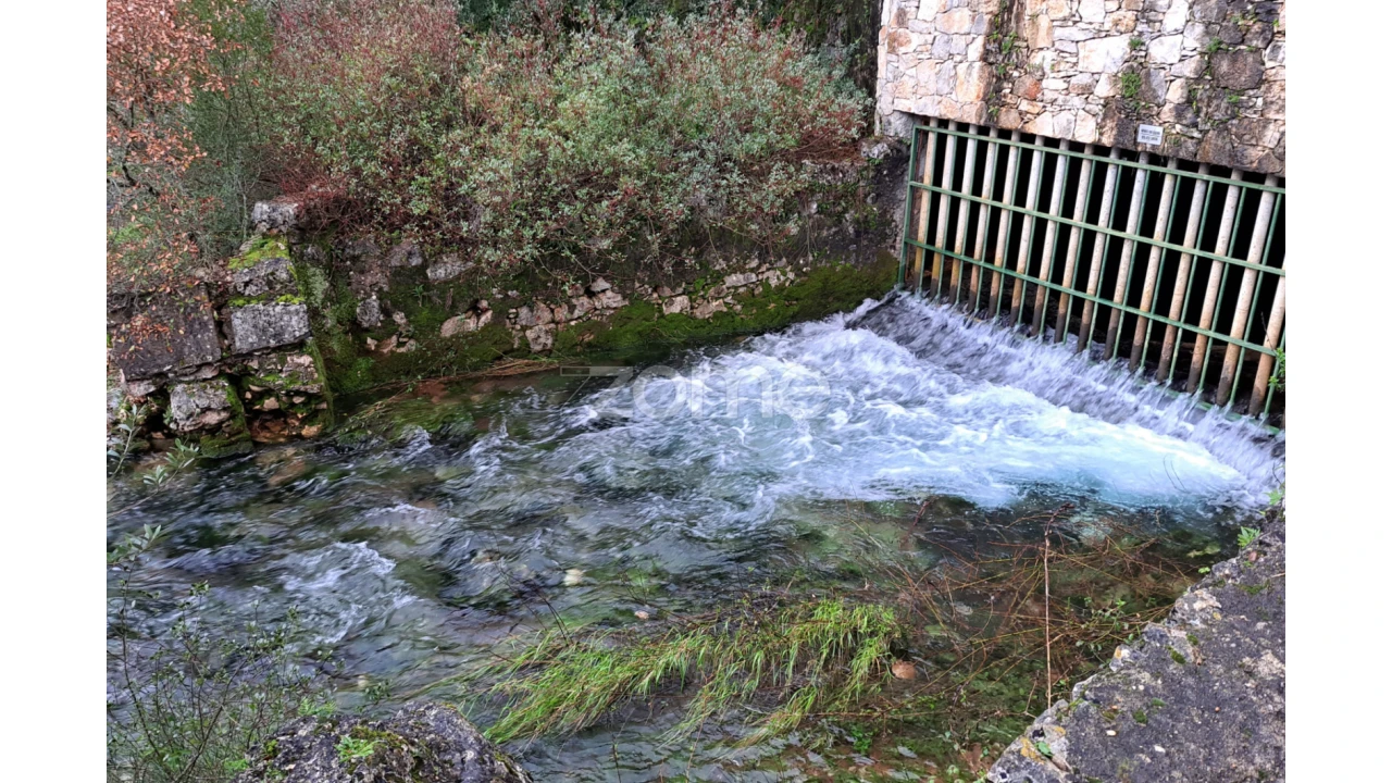 Terreno para Venda em Mira de Aire Foto 13
