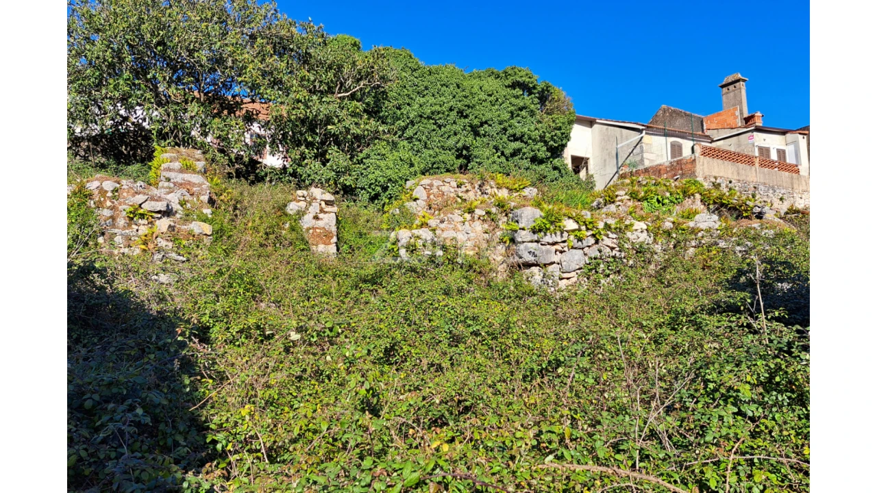 Terreno para Venda em Mira de Aire Foto 3