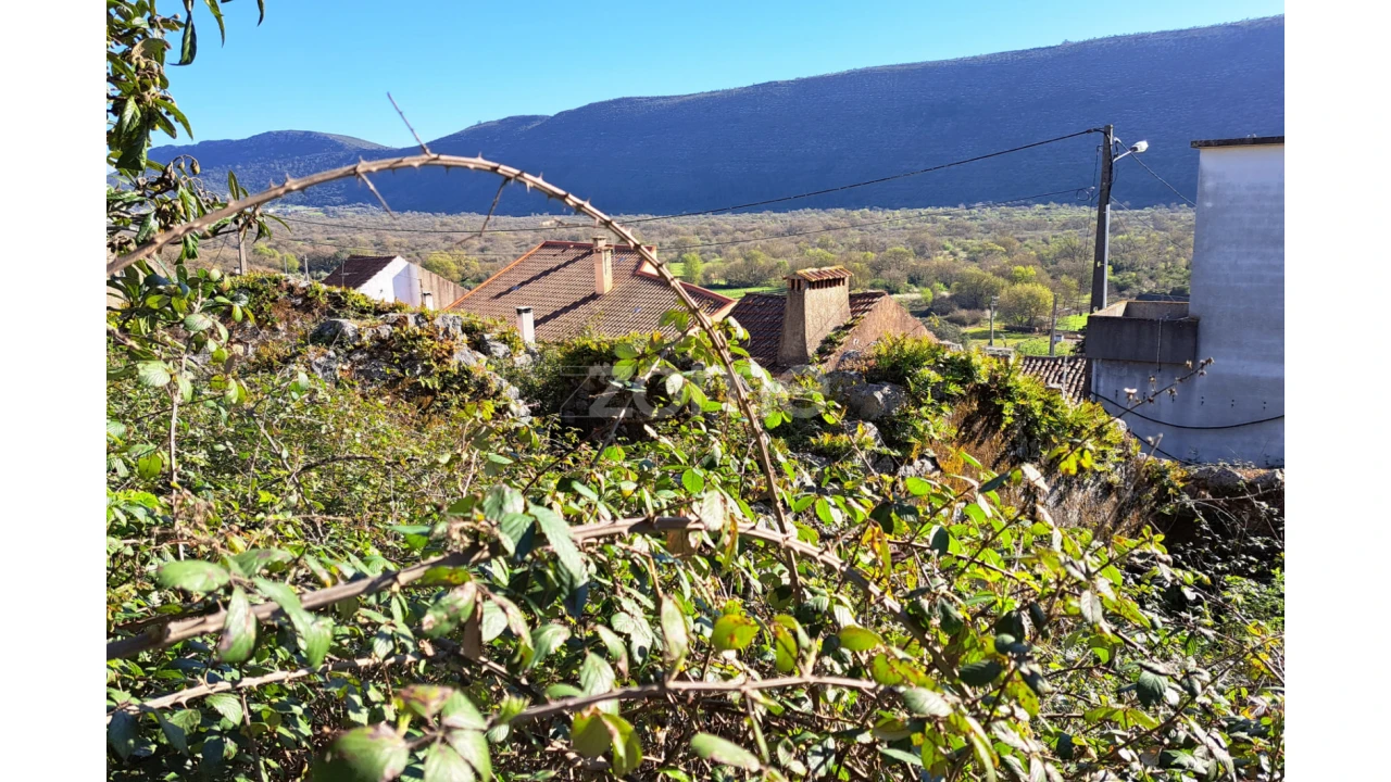 Terreno para Venda em Mira de Aire Foto 9