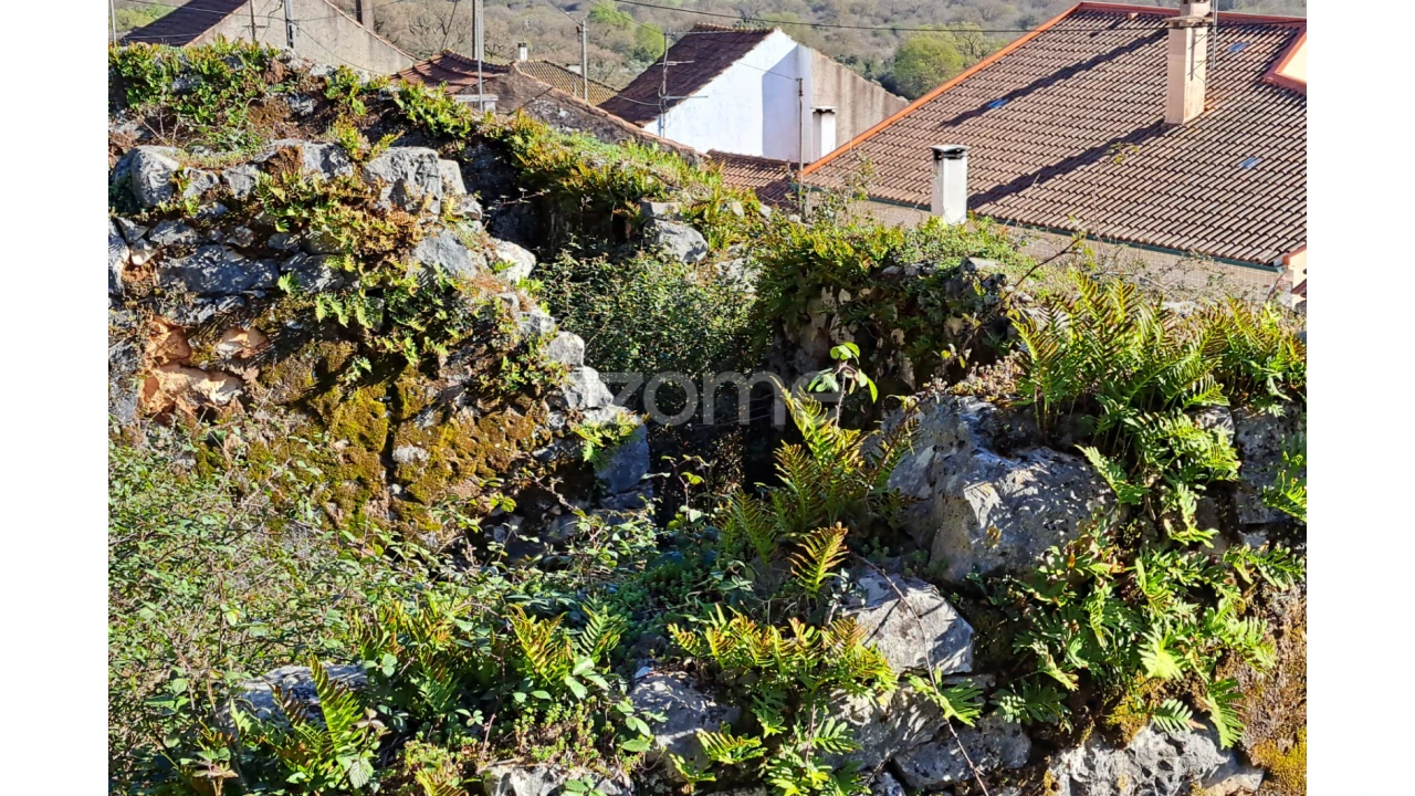 Terreno para Venda em Mira de Aire Foto 7