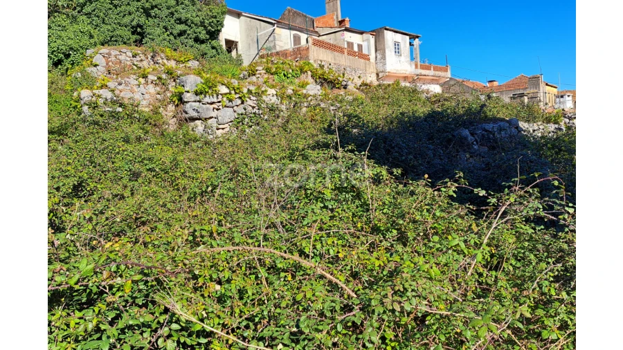 Terreno para Venda em Mira de Aire