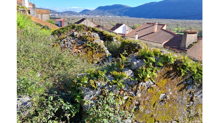 Terreno para Venda em Mira de Aire Foto 11