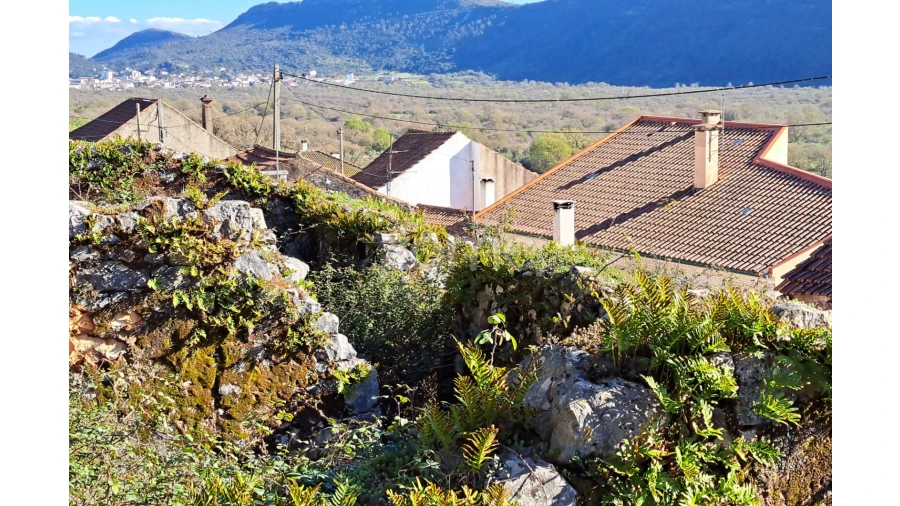 Terreno para Venda em Mira de Aire Foto 2