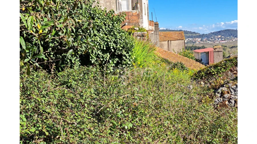 Terreno para Venda em Mira de Aire Foto 7