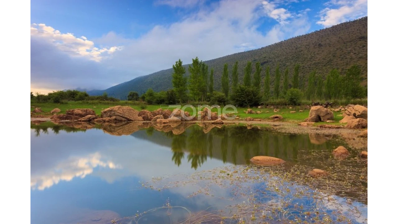 Terreno para Venda em Mira de Aire Foto 14