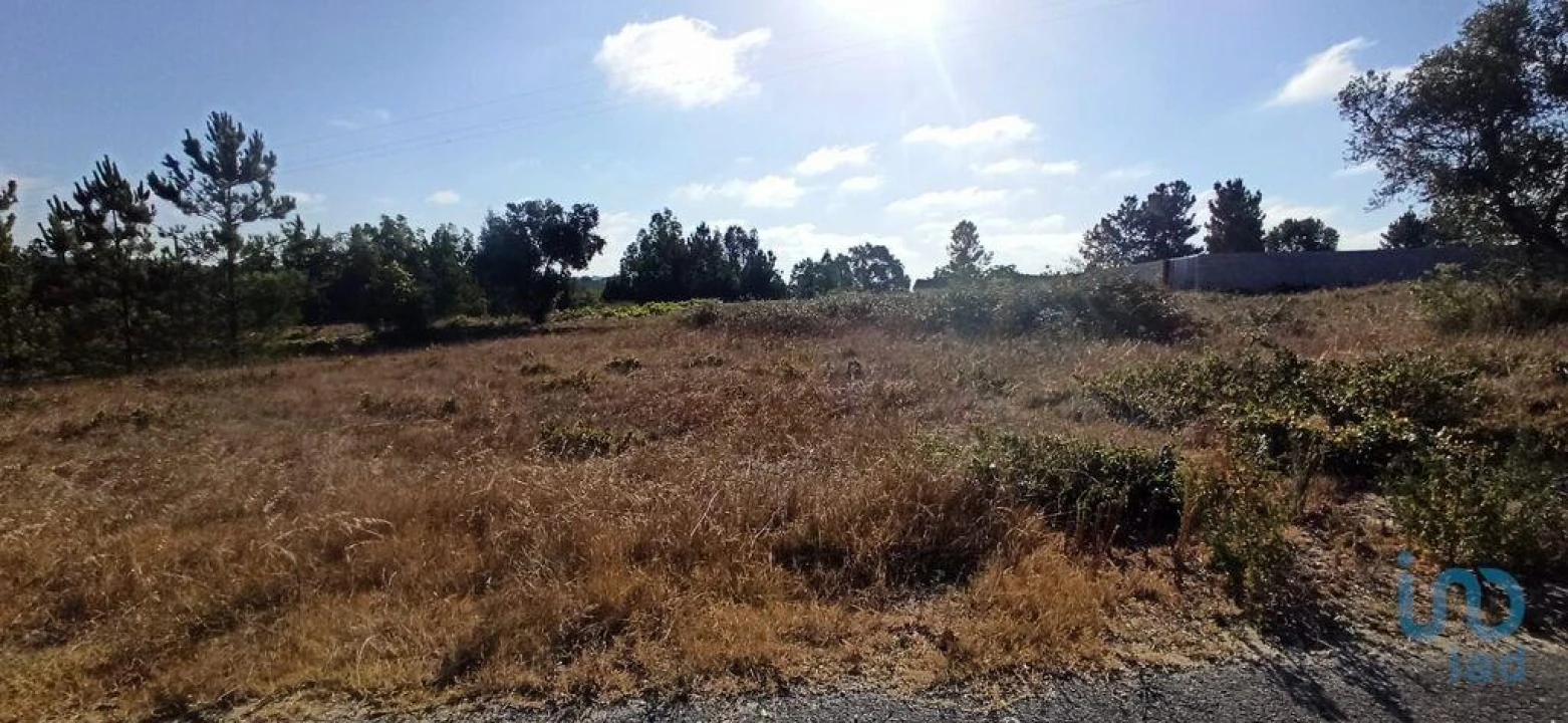 Terreno para Venda em Coruche, Fajarda e Erra Foto 6