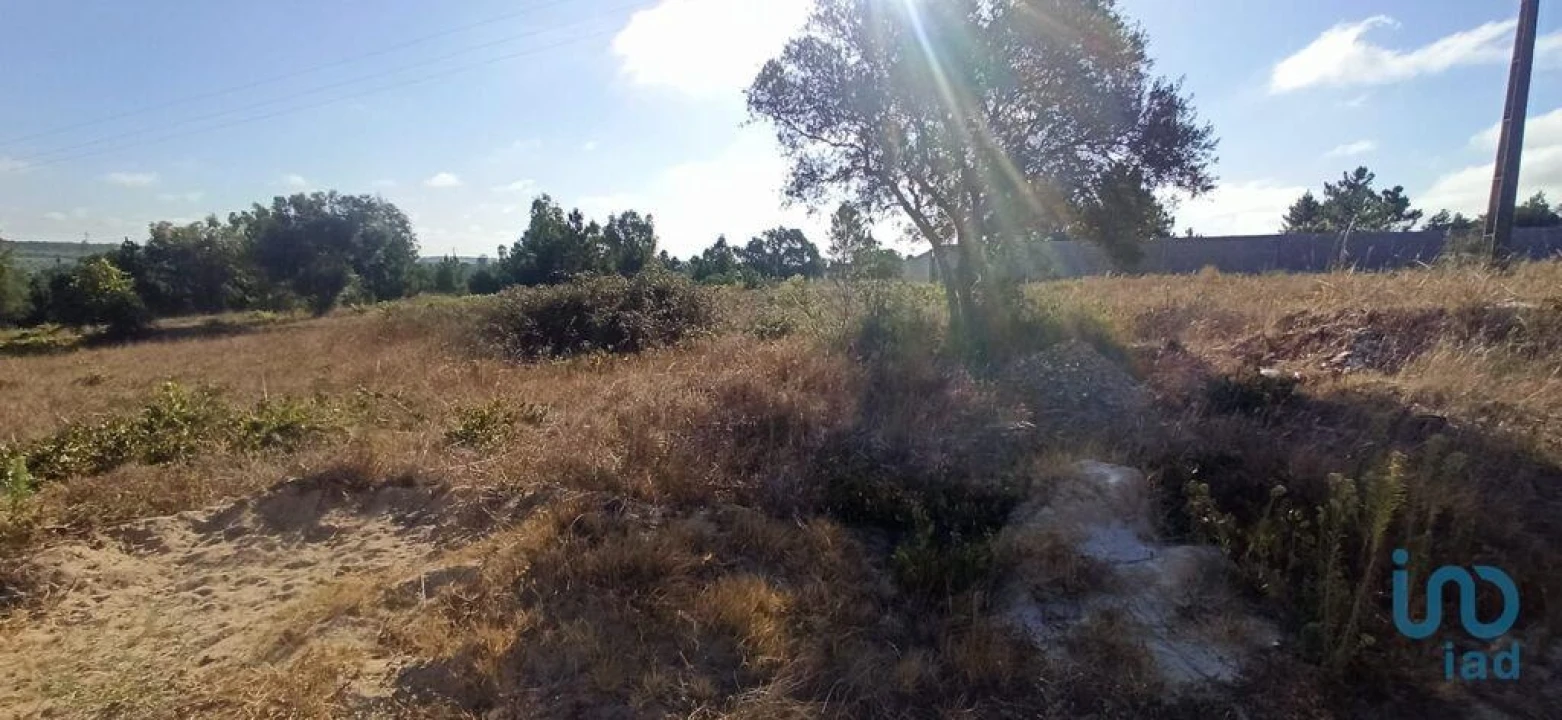 Terreno para Venda em Coruche, Fajarda e Erra Foto 8
