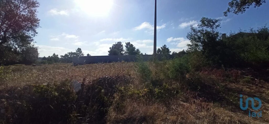 Terreno para Venda em Coruche, Fajarda e Erra Foto 2