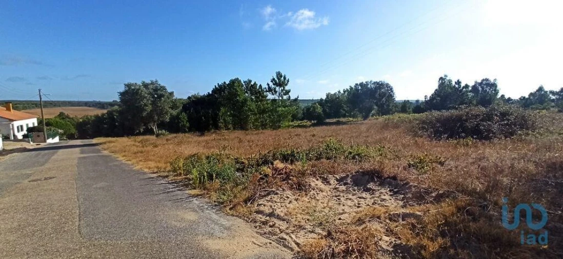 Terreno para Venda em Coruche, Fajarda e Erra Foto 9