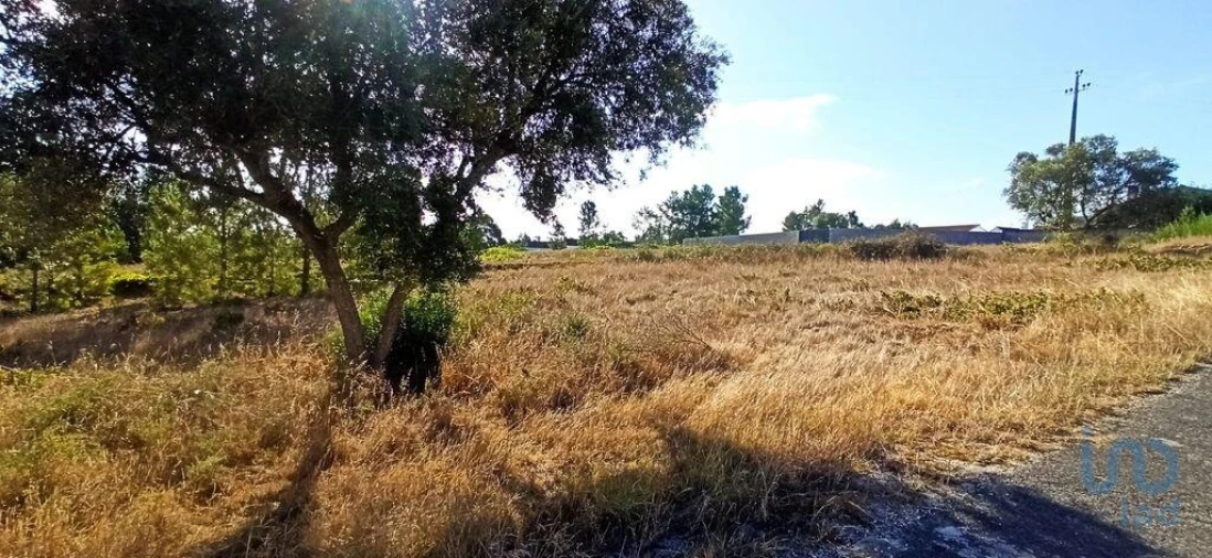 Terreno para Venda em Coruche, Fajarda e Erra Foto 5