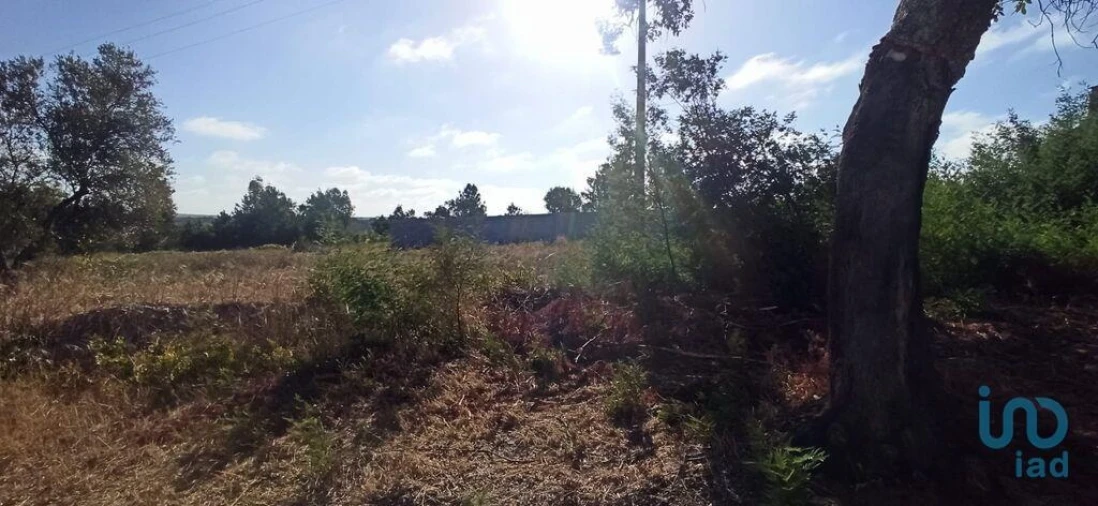 Terreno para Venda em Coruche, Fajarda e Erra Foto 1