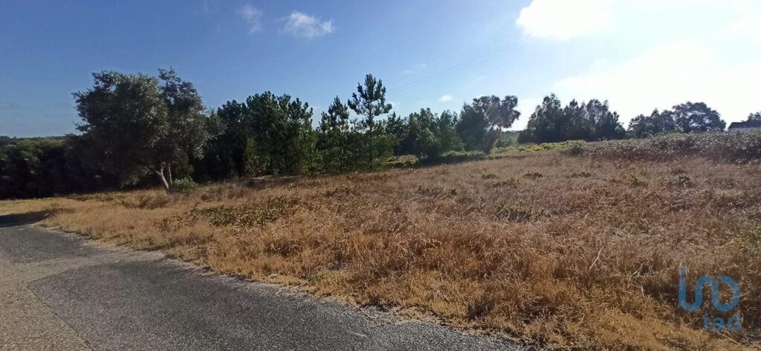 Terreno para Venda em Coruche, Fajarda e Erra Foto 7