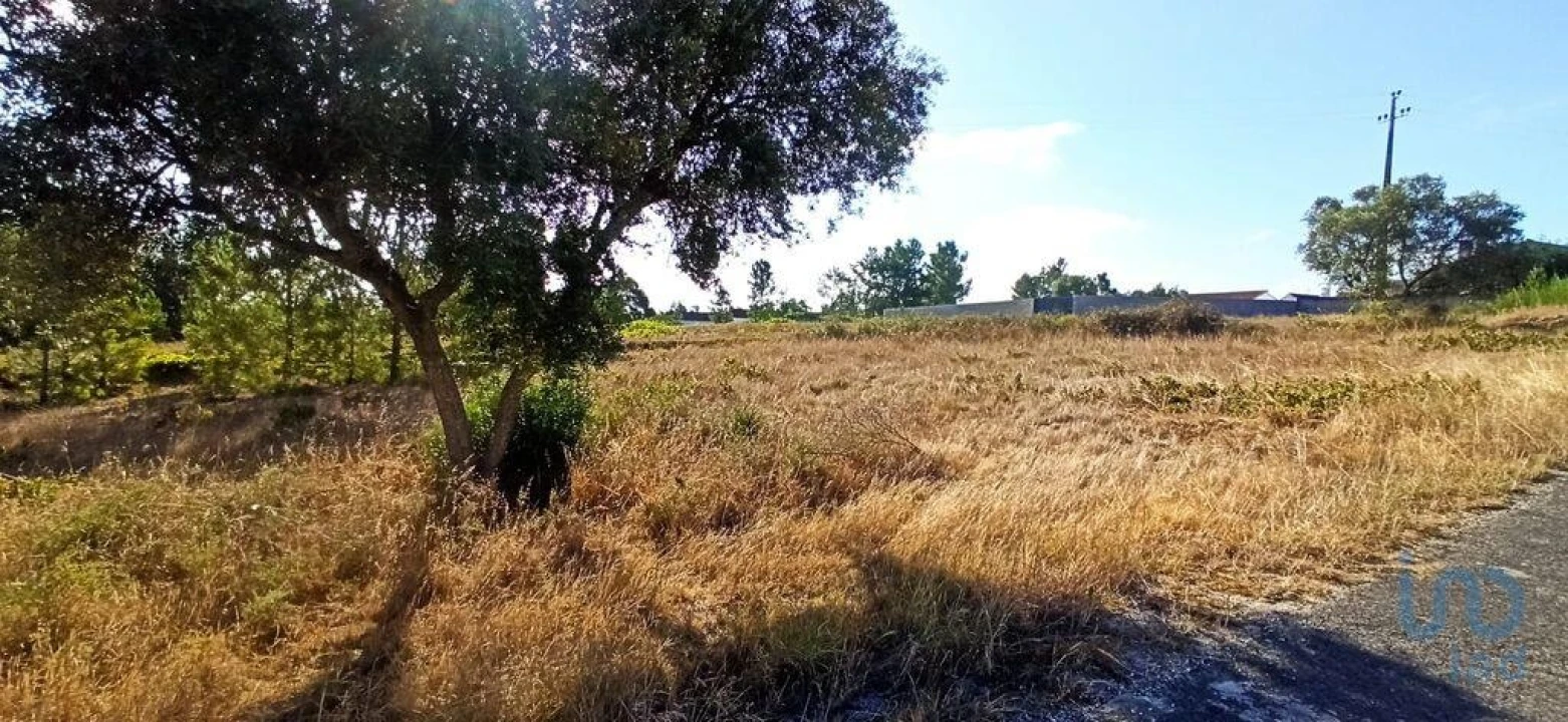 Terreno para Venda em Coruche, Fajarda e Erra Foto 5