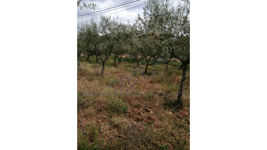 Moradia T3 para Venda em Carviçais Foto 18