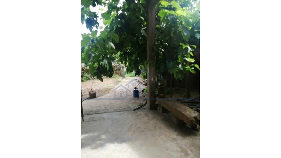 Moradia T3 para Venda em Carviçais Foto 6