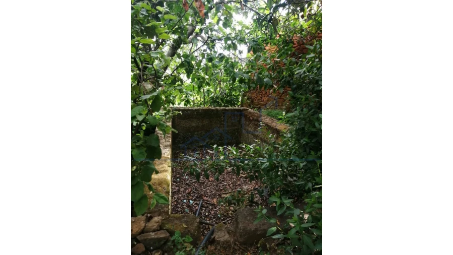 Moradia T3 para Venda em Carviçais Foto 20