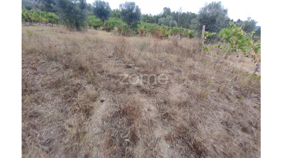 Terreno para Venda em Sezures Foto 7