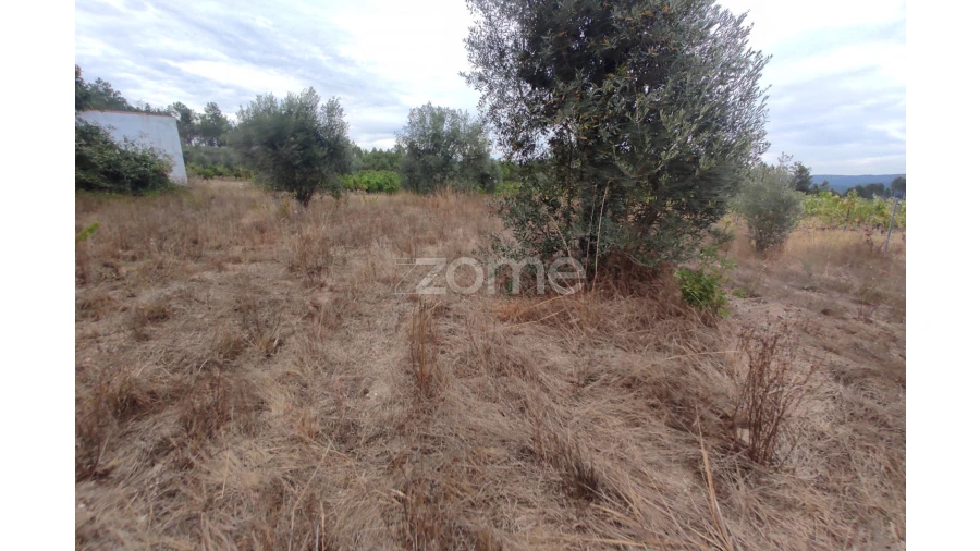 Terreno para Venda em Sezures Foto 9