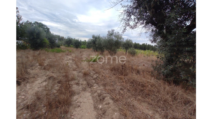 Terreno para Venda em Sezures Foto 13