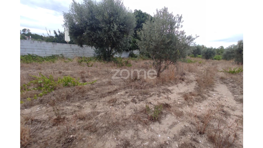 Terreno para Venda em Sezures Foto 15