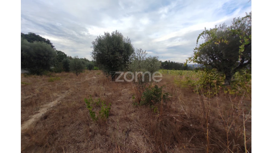 Terreno para Venda em Sezures Foto 12