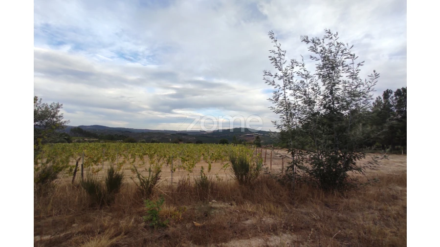 Terreno para Venda em Sezures Foto 16