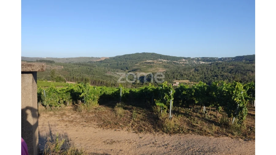 Terreno para Venda em Sezures Foto 2