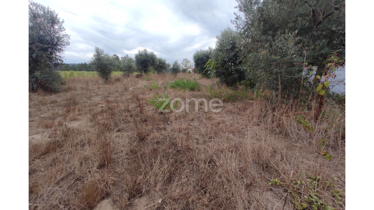 Terreno para Venda em Sezures Foto 10