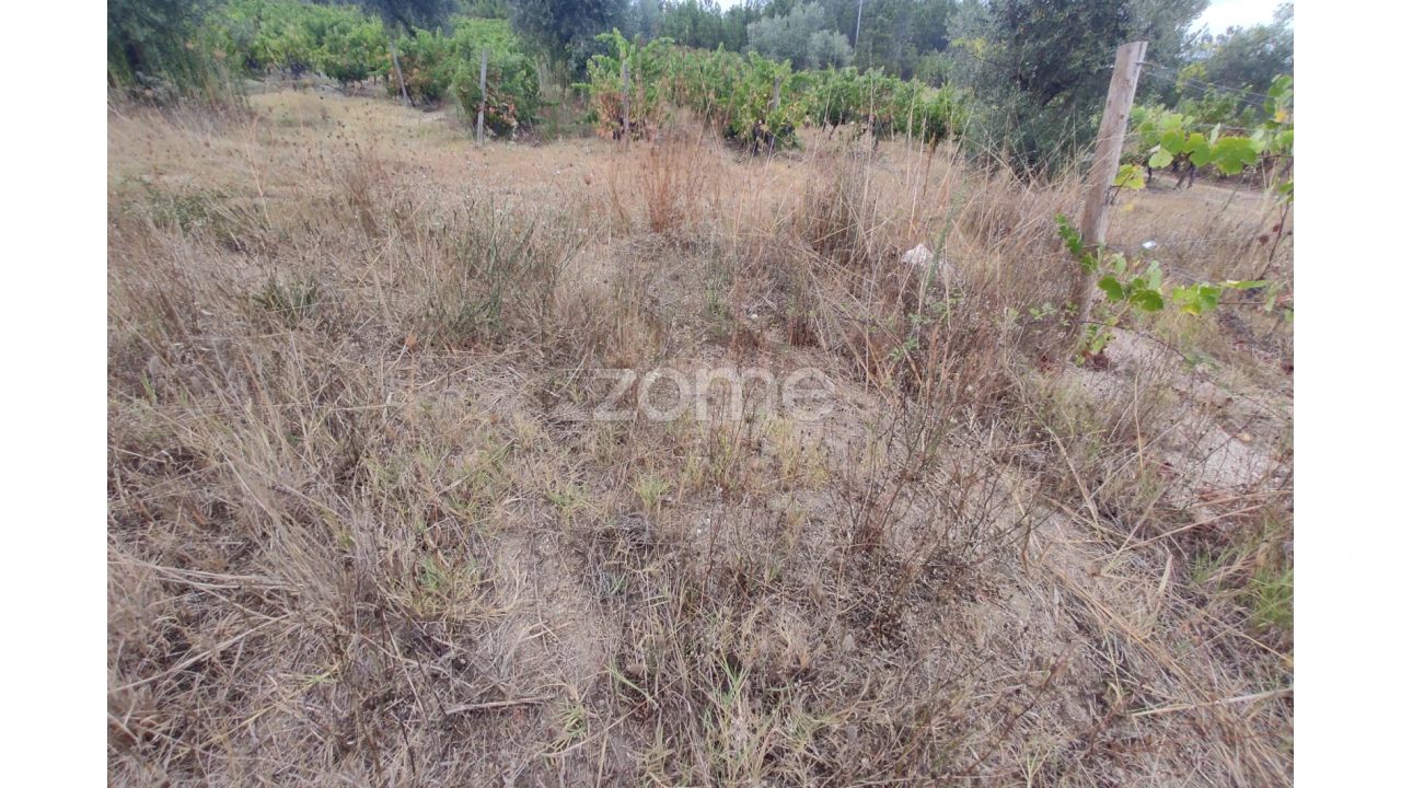 Terreno para Venda em Sezures Foto 11