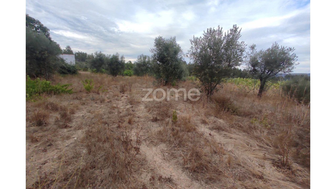 Terreno para Venda em Sezures Foto 14