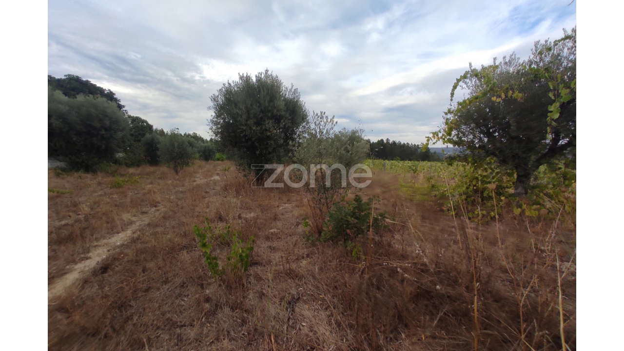 Terreno para Venda em Sezures Foto 12