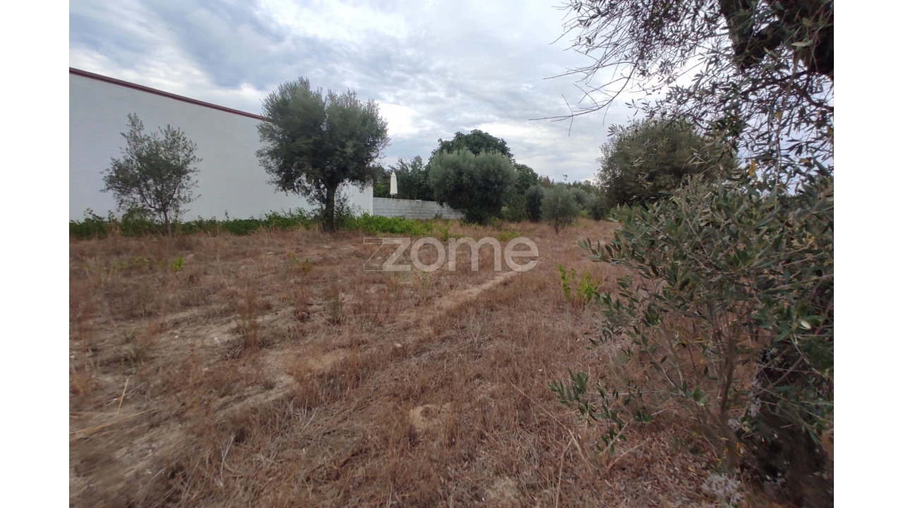 Terreno para Venda em Sezures Foto 1