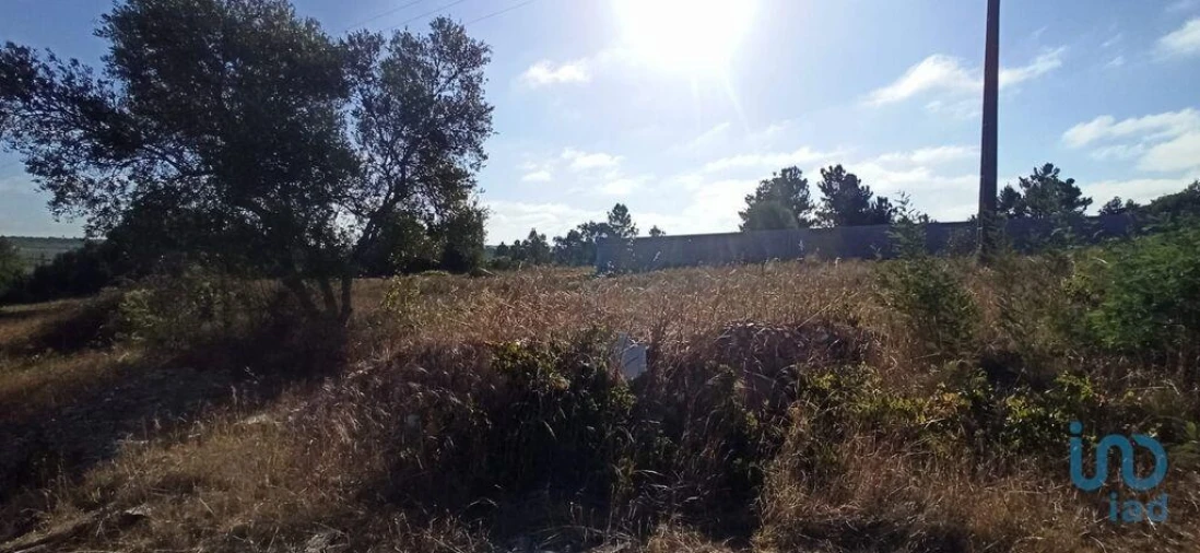 Terreno para Venda em Coruche, Fajarda e Erra Foto 1